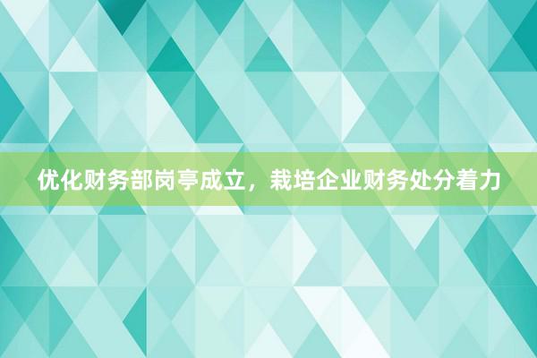 优化财务部岗亭成立，栽培企业财务处分着力